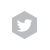 alt_text